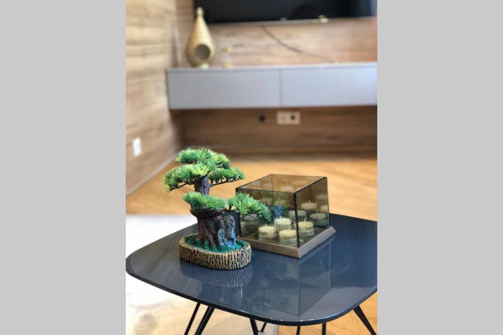 Zeus Design Apartments Schoenbrunn 비엔나 외부 사진